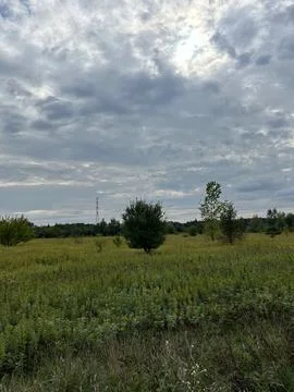 Wild Meadow Landscape Under Dramatic Cloudy Sky. Stock Photos