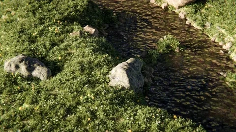 Wild meadow or landscape with stream and flying pollen Stock Footage 168282574