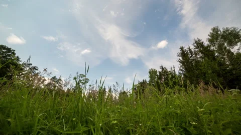 Wild meadow under sky. Motion controlled time lapse. Stock Footage 197464284