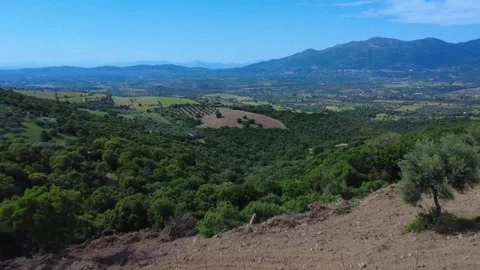 Wild Mediterranean Hillside in Greece with Distant View of Mountains Stock Footage 311533928
