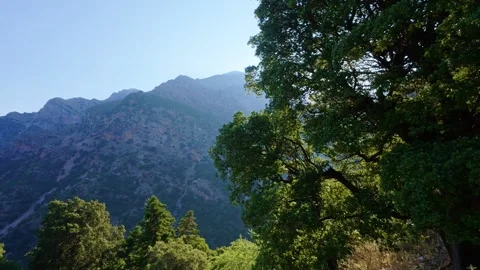 Wild Mediterranean mountain path in Greece during early morning hours 動画素材 316623546
