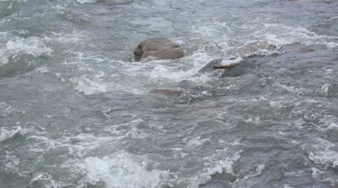 Wild melt water Stock Footage 18177345