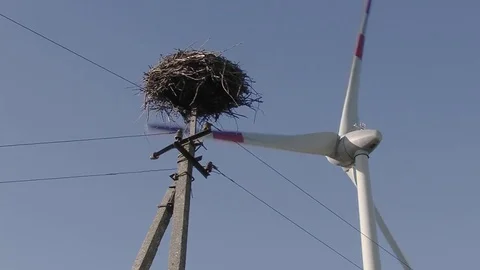 Wild mill in field. Power and energy Stock Footage 85344337
