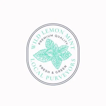 Wild Mint Frame Badge or Logo Template. Hand Drawn Menthol Leaves Branch Sketch Stock Illustration
