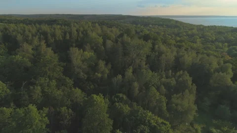 Wild mixed forest aerial 4k. Sunset, low sun. Wildlands and water drone shot. Stock Footage 130611744