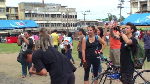 A wild monkey sits on the back of a man. People take pictures of a monkey. 库存影片 112998143