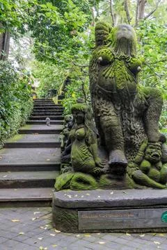 Wild Monkey In Ubud Stock Photos