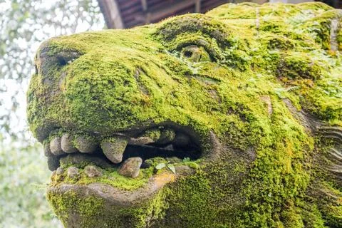 Wild Monkey In Ubud Stock Photos