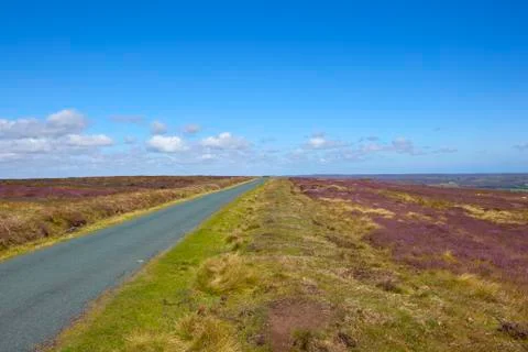 Wild moorland road Stock Photos