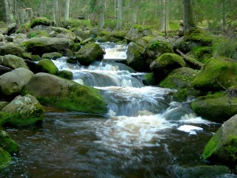 Wild mountain brook Stock Photos