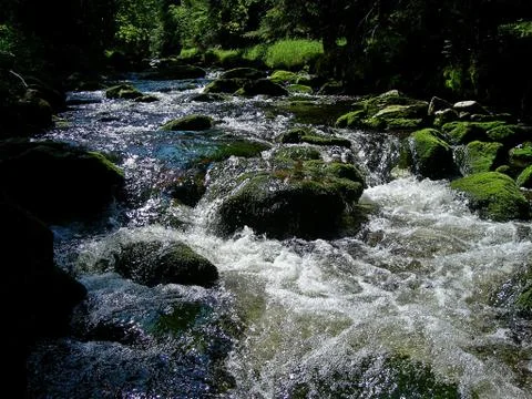 Wild mountain brook Stock Photos