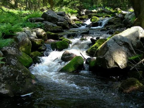 Wild mountain brook Stock Photos