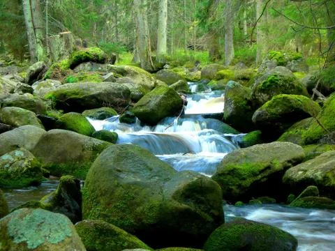 Wild mountain brook Stock Photos