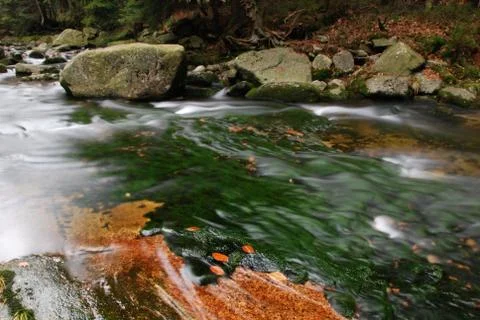Wild mountain brook Foto stock