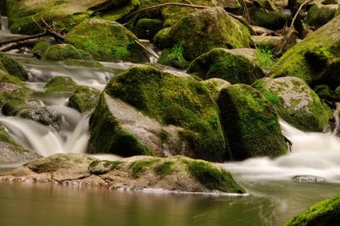 Wild mountain brook Stock Photos