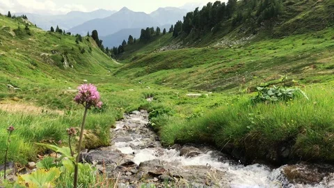 Wild mountain panorama with flowing stream Stock Footage 95755542