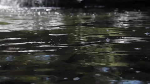 Wild mountain river abundant clear stream Stock Footage 177051771