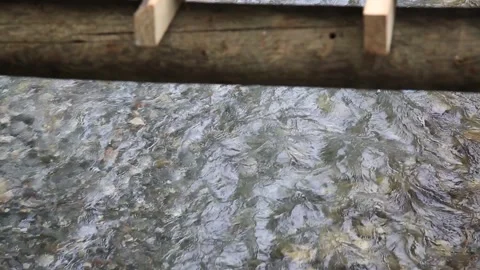 Wild Mountain River Close Up Abundant Clear Stream Stock Footage 138207332