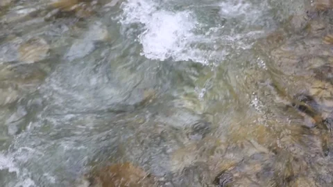 Wild Mountain River Close Up Abundant Clear Stream Stock Footage 138207377