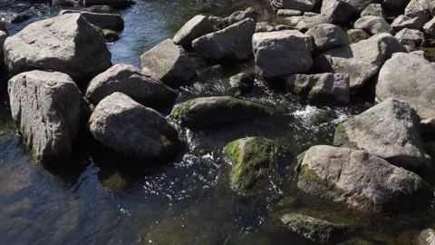 Wild mountain river close up abundant clear stream. Stock Footage 139650955
