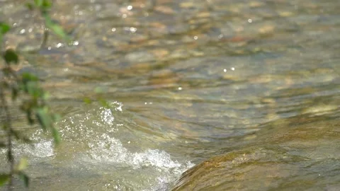 Wild Mountain River Close Up Abundant Clear Stream. Detail Static Shot of Video stock 162364688