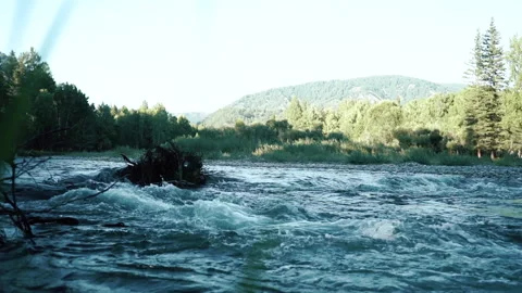 Wild Mountain River Close Up Abundant Clear Stream. Detail Static Shot Stock Footage 200779938