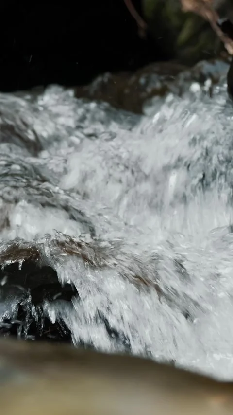 Wild mountain river. close-up. fast small mountain river with crystal clear Stock Footage 313978227