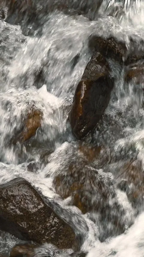 Wild mountain river. close-up. top view. fast small mountain river with crystal Stock Footage 315940864
