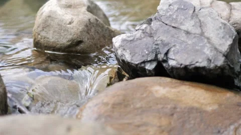 Wild Mountain River Flowing with Stone Boulders and Stone Rapids. Splashing Stock Footage 157560802
