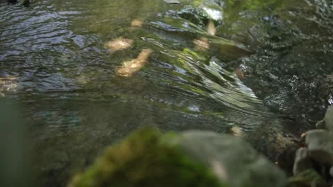 Wild Mountain River Flowing with Stone Boulders and Stone Rapids. Rapid Splashin Stock Footage 162105537