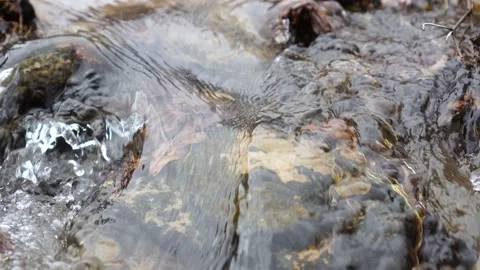 Wild mountain river flowing through stone boulders. Abundant clear stream. Stock Footage 156675813