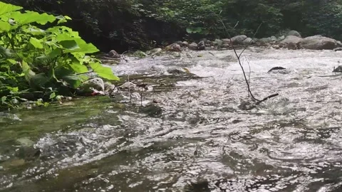 Wild Mountain River Flowing Through Stone Boulders, Water. Stock Footage 203896034