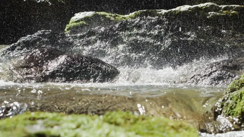 Wild mountain river flowing through stone boulders covered with moss. Small Stock Footage 204865687
