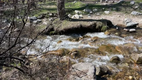 Wild mountain river flowing through stone boulders. Abundant clear stream in Stock Footage 239305940