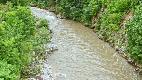Wild mountain river flowing through stone boulders, Water clear stream river flo Stock Footage 245003697