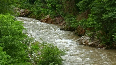 Wild mountain river flowing through stone boulders, Water clear stream river flo Stock Footage 245006411