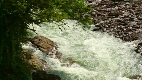 Wild mountain river flowing through stone boulders, Water clear stream river flo Stock Footage 245012067