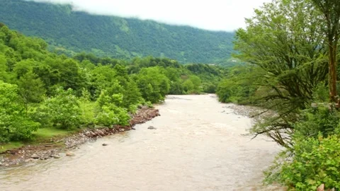 Wild mountain river flowing through stone boulders, Water clear stream river flo Stock Footage 245012854
