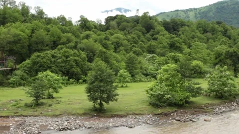 Wild mountain river flowing through stone boulders, Water clear stream river flo Stock Footage 245013717