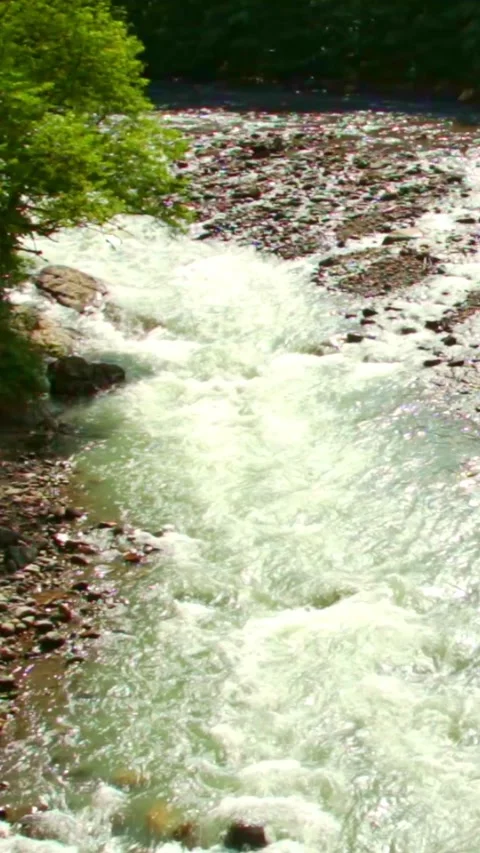 Wild mountain river flowing through stone boulders, Water clear stream river flo Video stock 245077037
