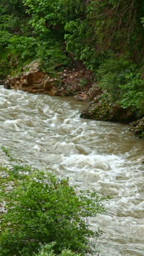 Wild mountain river flowing through stone boulders, Water clear stream river flo Video stock 245079968