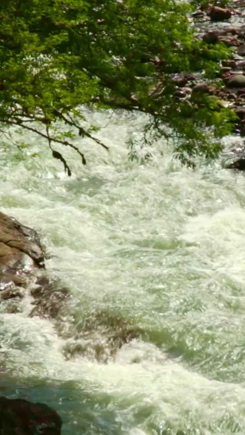 Wild mountain river flowing through stone boulders, Water clear stream river flo Stock Footage 245080544
