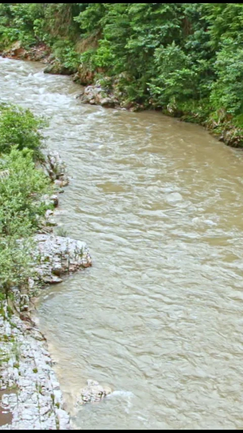 Wild mountain river flowing through stone boulders, Water clear stream river flo Stock Footage 245082195