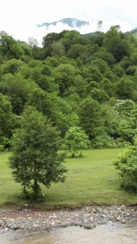 Wild mountain river flowing through stone boulders, Water clear stream river flo Stock Footage 245082840