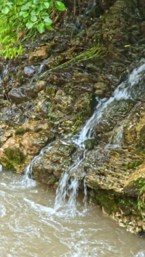 Wild mountain river flowing through stone boulders, Water clear stream river flo Video stock 245083055