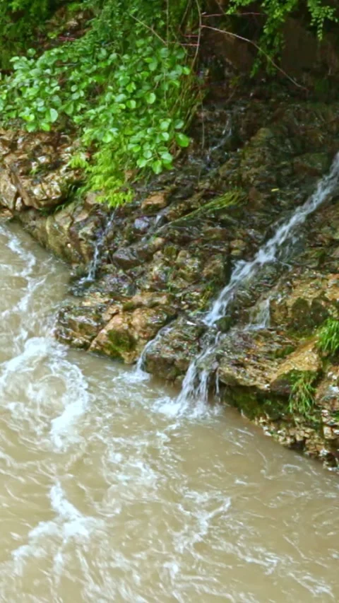 Wild mountain river flowing through stone boulders, Water clear stream river flo Stock Footage 245084850