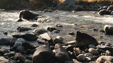 Wild mountain river flowing through stone boulders with fir trees in the Stock Footage 255912307