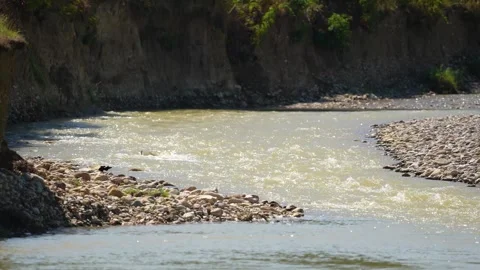 Wild mountain river flowing through stone boulders, Water clear stream river Stock Footage 268591930