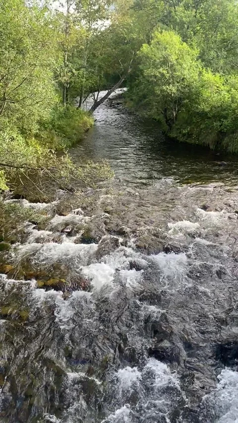 Wild mountain river flowing through stone, clear stream flowing in the forest Stock Footage 285832731