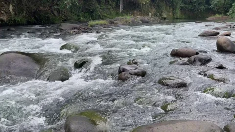 Wild Mountain River Flowing Through Boulders - 4K Stock Footage 296523617